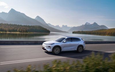 Geely е на първо място на вътрешния пазар, продавайки 270 167 автомобила през януари